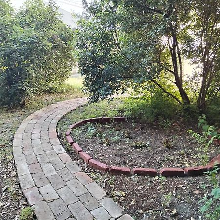 Apartament Garden In The Center Split Zewnętrze zdjęcie