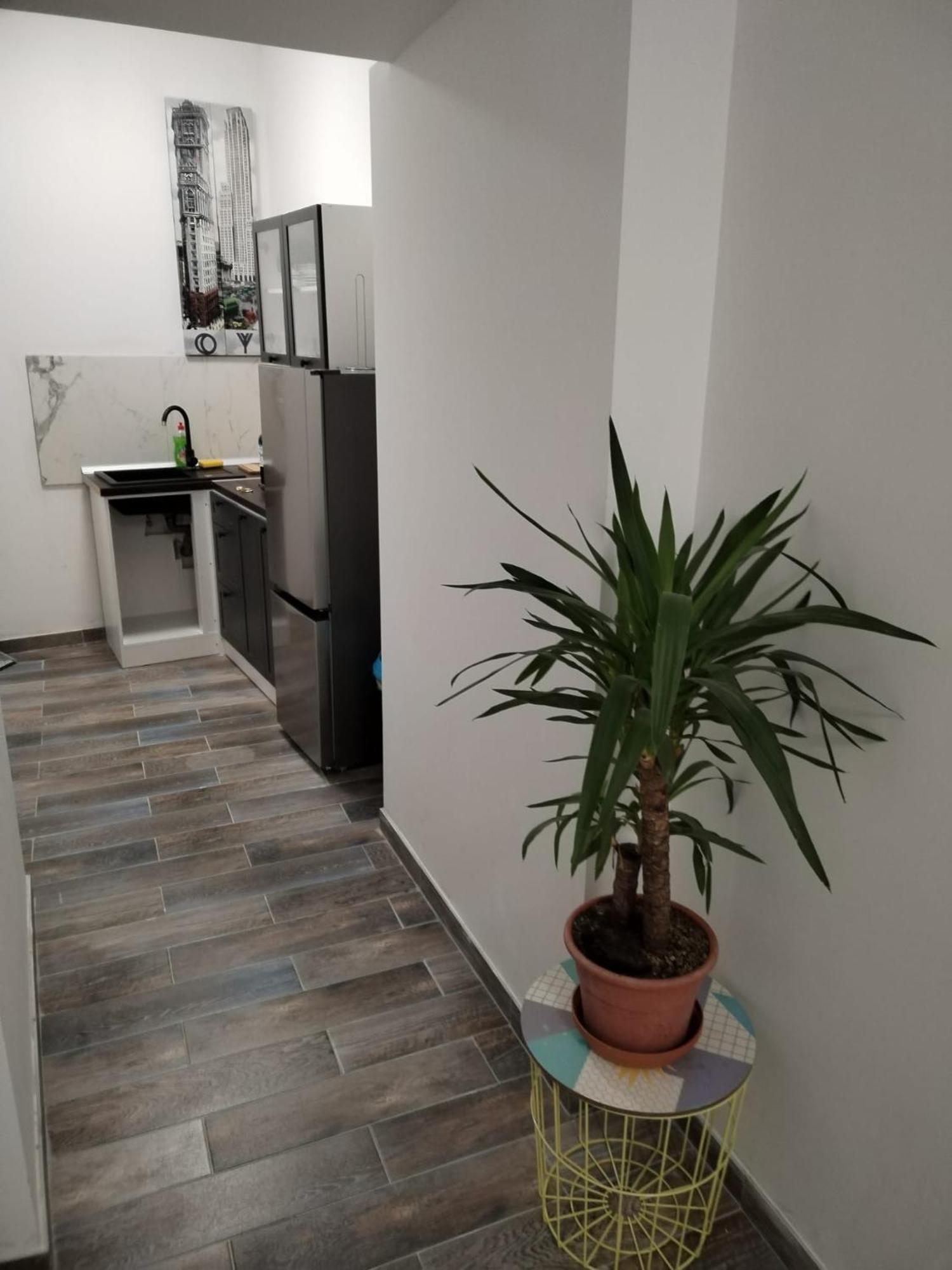 Apartament Garden In The Center Split Pokój zdjęcie